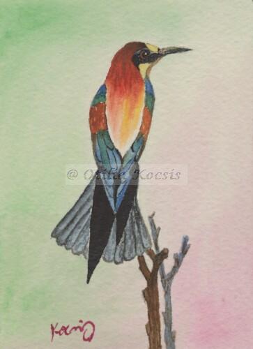 Bee Eater, ACEO watercolor, 2.5x3.5: SOLD