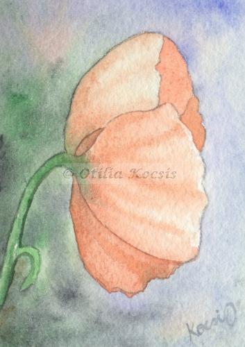Red Poppy, ACEO watercolor, 2.5x3.5: 15.00 US$