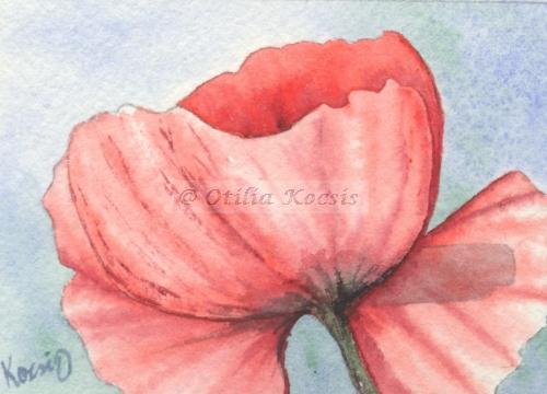 Red Poppy, ACEO watercolor, 2.5x3.5: 15 US$