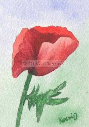 Red Poppy, ACEO watercolor, 3.5x2.5: NFS