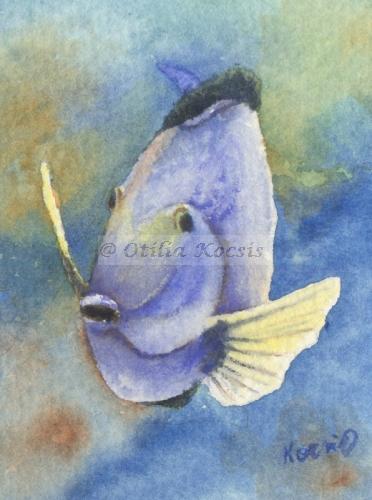Tropical Fish 01, ACEO watercolor, 2.5x3.5: 15.00 US