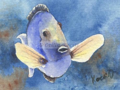 Tropical Fish 03, ACEO watercolor, 3.5x2.5: SOLD