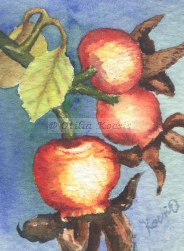Rose Hips 03, ACEO watercolor, 2.5"x3.5": SOLD