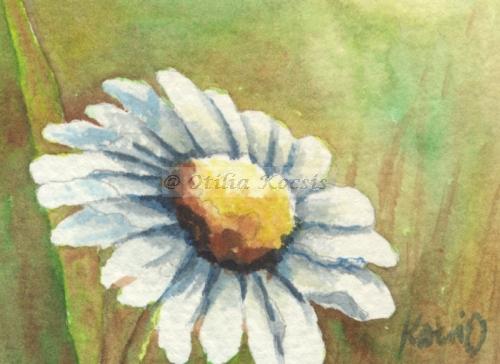 Daisy, ACEO watercolor, 3.5"x2.5": 15.00 US$