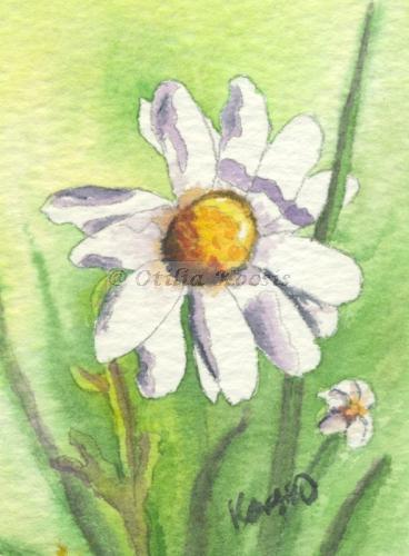 Daisy, ACEO watercolor, 2.5"x3.5": 15.00 US$