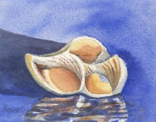 Beach Treasures - Seashell Inner Chambers, ACEO watercolor, 3.5"x2.5": 15.00 US$