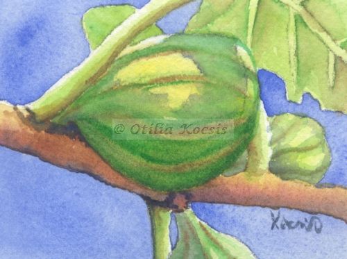 Figs and Blue Sky, ACEO watercolor, 3.5x2.5: SOLD