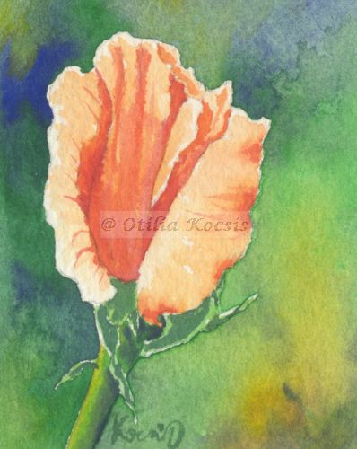 Orange Rose, ACEO watercolor, 2.5x3.5: SOLD