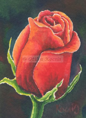 Red Rose, ACEO watercolor, 2.5x3.5: SOLD