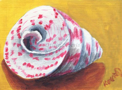 Trochus erithreus #02, ACEO acrylics, 3.5x2.5: SOLD