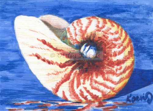 Nautilus #02, ACEO acrylics, 3.5x2.5: SOLD