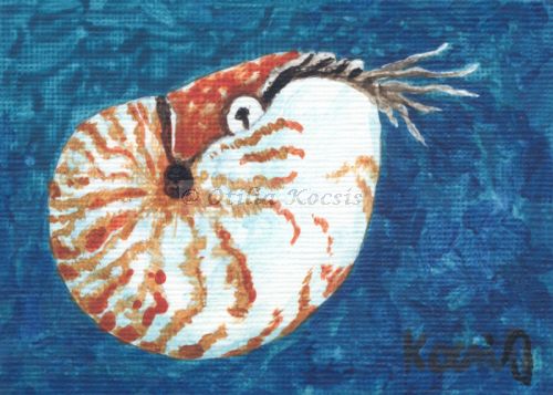 Nautilus #03, ACEO acrylics, 3.5x2.5: 20.00 US$
