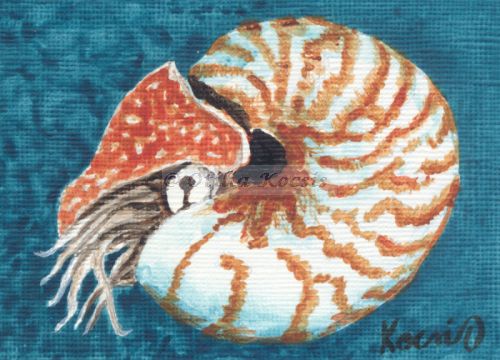 Nautilus #04, ACEO acrylics, 3.5x2.5: SOLD