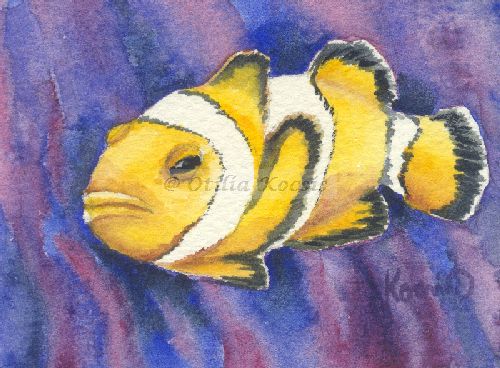 Clownfish 01, ACEO watercolor, 3.5"x2.5": 15.00 US$