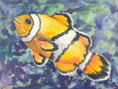 Clownfish 03, ACEO watercolor, 3.5"x2.5": 15.00 US$