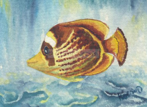 Raccoon Butterfly Fish 01, ACEO watercolor, 3.5"x2.5": 15.00 US$