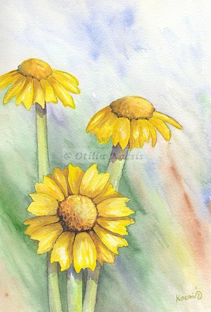 Chrysanthemum Coronarium (Garland Chrysanthemum), watercolor, 7"x10": 75.00 US$