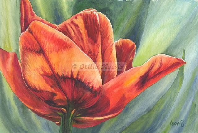 Red Tulip, watercolor, 10"x7": 75.00 US$