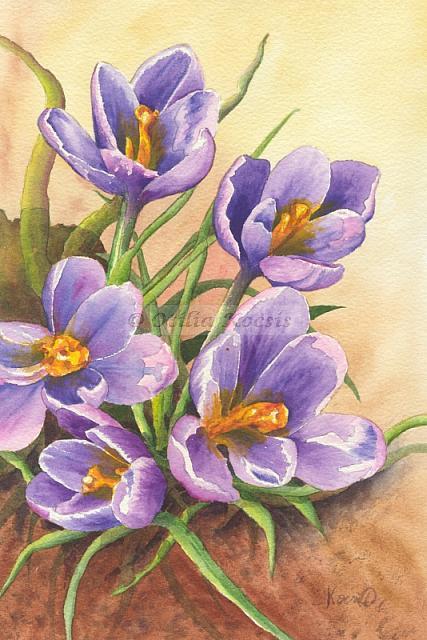 Purple Crocuses, watercolor, 7"x10": 75.00 US$