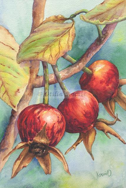 Afterlife beauty of roses, watercolor, 7"x10": 75.00 US$