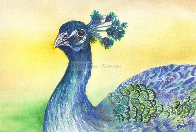 Peacock, watercolor, 10"x7": 75.00 US$