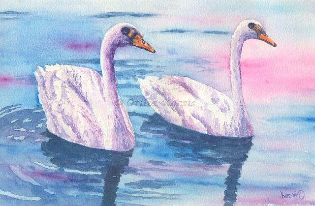 Swans, watercolor, 10"x7": 75.00 US$