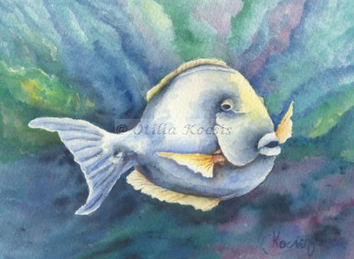 Tropical Fish #08, watercolor, 7"x5": SOLD