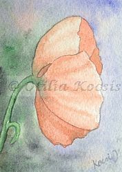 Red Poppy, ACEO watercolor, 2.5x3.5: 15.00 US$