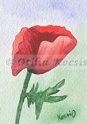 Red Poppy, ACEO watercolor, 3.5x2.5: NFS
