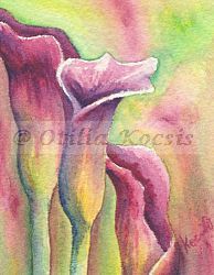 Calla Lilies 01, ACEO watercolor, 2.5"x3.5": SOLD