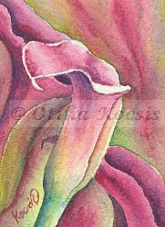 Calla Lilies 02, ACEO watercolor, 2.5"x3.5": SOLD