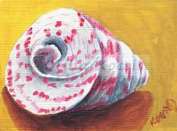 Trochus erithreus #02, ACEO acrylics, 3.5x2.5: SOLD