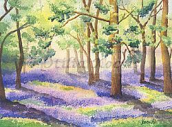 Landscapes/Cityscapes